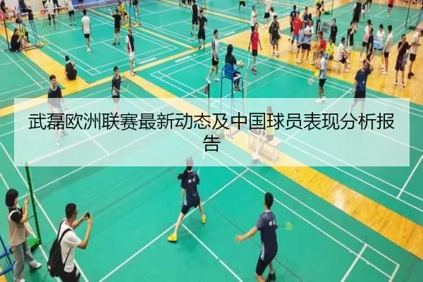 武磊欧洲联赛最新动态及中国球员表现分析报告